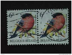 België Belgique Belgium 1988 Goudvink Bouvreuil Phosfer Fout  Erreur?? Vogels Oiseaux André Buzin 2 X Yv 2294 COB 2295 O - Non Classificati