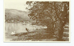 Postcard A Sumer Morning At St.filans Phototype Valentine's Unused - Perthshire