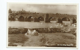 Postcard On The River Dumfries Unused Unused Rp Swans O River - Dumfriesshire