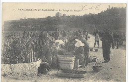 51  VENDANGE EN CHAMPAGNE  LE TRIAGE DU RAISIN - Andere & Zonder Classificatie