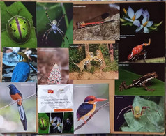 India 2022 WILD LIFE DIVERSITY , Set Of 14 Postcards ( 1 Cancelled + 13 Mint MNH + 1 Brochure)  (**) Inde Indien - Covers & Documents