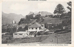 FAVERGES ( 74 ) - Vue Prise De La Route De SEYTHENEX , Tamié - Faverges