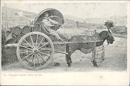 ROMA - COSTUMI ROMANI - CARRO DA VINO - SPEDITA 1900s (11034) - Transportmiddelen