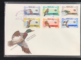 MACAU 1984 REGIONAL BIRDS FDC - FDC