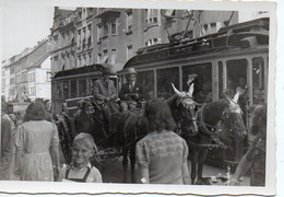 Photo Alsace Format 6/9 Tramway - Orte