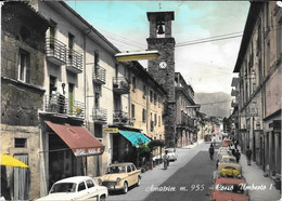 CARTOLINA -  AMATRICE - CORSO UMBRTO I-   SPEDITA - Rieti