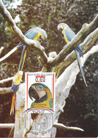 BULGARIA - Maximum Card - Birds, Parrots 2008 - POWA - Brieven En Documenten