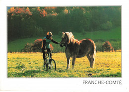 FRANCHE COMTE - PARADIS DU VTT - CHEVAL ET CYCLISTE - Franche-Comté
