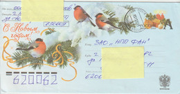 Russie. Russia. Lettre Avec Timbre Imprimé.  Bouvreuils. Bullfinch. Oiseaux. Birds - Cartas & Documentos