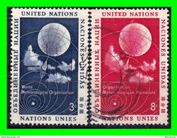 ESTADOS UNIDOS  AMERICA DEL NORTE  ( NACIONES UNIDAS NUEVA YORK ) SELLOS AÑO 1953 DIA DE LOS DERECHOS HUMANOS - Usati