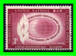 ESTADOS UNIDOS  AMERICA DEL NORTE  ( NACIONES UNIDAS NUEVA YORK ) SELLOS AÑO 1956 DIA DE LOS DERECHOS HUMANOS - Used Stamps