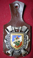 INSIGNE SAPEURS POMPIERS 88 Des VOSGES Ref 30 - Pompieri