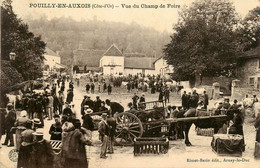 Pouilly En Auxois * Place * Vue Du Champ De Foire * Attelage * Marché Aux Bestiaux - Other & Unclassified