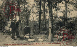 Une Des Pièces De 210 Capturées Par Le Belges Dans La Forêt D'Houthulst GERMAN  WWI WWICOLLECTION - Houthulst