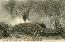 Côté D'or * Des Charbonniers En Forêt * Mise En Feu D'un Fourneau * Travail Dans Les Bois - Sonstige & Ohne Zuordnung