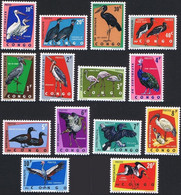481/494** - Oiseaux Protégés / Beschermde Vogels / Geschützte Vögel / Protected Birds - CONGO - Pélicans