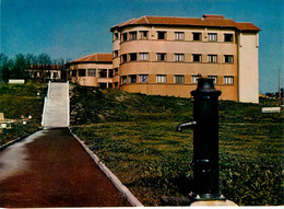 Biarritz * Vue Sur Le CCAS * L'immeuble Depuis Le Parc - Biarritz