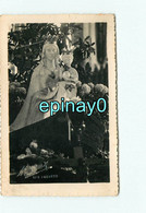 85 - LES ESSARTS - CARTE PHOTO - Photographe MENEUX - Passage De La Vierge De Boulogne - Les Essarts