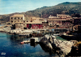 Centuri * Vue Sur Le Petit Port * Haute Corse 2B - Autres & Non Classés