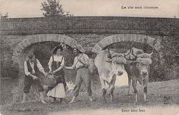 CPA PHOTO - Attelage De Boeufs - La Vie Au Champs - Carte Animée - Chapeau - Paysan - Wagengespanne