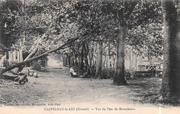 CASTELNAU-le-LEZ (Hérault) - Vue Du Parc De Montplaisir - Castelnau Le Lez
