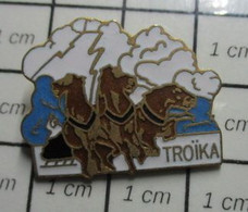 1122 Pin's Pins / Beau Et Rare / THEME : ANIMAUX / TROIS CHEVAUX ATTELES TROIKA - Musique