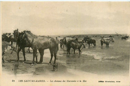 Les Saintes Maries * Les Chevaux Des Marocains à La Mer - Saintes Maries De La Mer