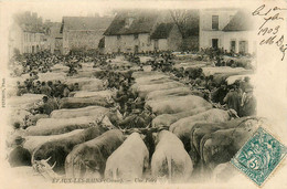 évaux Les Bains * Place Du Marché * Une Foire Aux Boeufs Bestiaux * Marchands - Evaux Les Bains