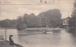 Belgique - Bruxelles - Bois De La Cambre - Lac Et Châlet Robinson - 1905 - Bossen, Parken, Tuinen