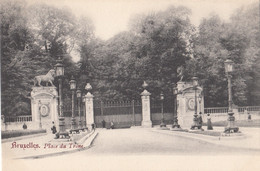 Belgique - Bruxelles - Place Du Trône - Bossen, Parken, Tuinen