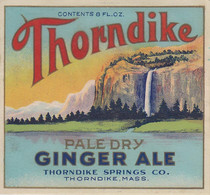 Etiquette Thorndike Ginger Ale , Mass (115570) Quantité De 12 - Alcools