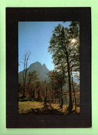 64 - SÉRIE " LE BÉARN " . HAUT-OSSAU . PIC DU MIDI D'OSSAU DEPUIS LE LAC DE BIOUS-ARTIGUES - Réf. N°34719 - - Bearn