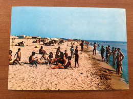 Delcampe - SCANZANO ( MATERA ) SPIAGGIA - Matera