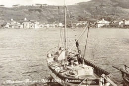 Cartolina - Marciana Marina - Isola D'Elba - Panorama - 1955 - Livorno