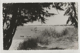 La Plaine-sur-Mer (44) : La Baie De Le Cormier Et Vue Sur Tharon En 1952 PF. - La-Plaine-sur-Mer