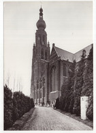 Hoogstraten - St. Katharinakerk - (België) - Hoogstraten