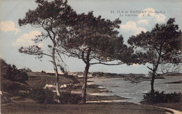 CPA - ILE DE BREHAT - Le Gardens - Paysage - Plage - Colorisée - Ile De Bréhat