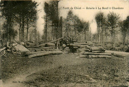 Busserolles * La Forêt De Chizé * La Scierie à La Souil à Chardons * Métier Bois - Sonstige & Ohne Zuordnung