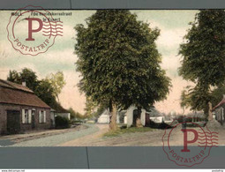 1912  Mol / Moll : De Beeldekensstraat Te Esaert ( Oude Kleurkaart  ANTWERPEN ANVERS - Mol