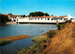 Ile De Ré * Loix * Maison Rétaise Au Bord Du Marais - Ile De Ré