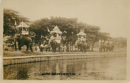 SRI LANKA CEYLON Carte Photo "éléphants " - Sri Lanka (Ceylon)