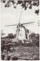 Rhenen - Panorama Molen - (Utrecht, Nederland) - (Uitg. Fa. Gosselink, Molenstraat 7-9) - Moulin/Mill/Mühle/Molen - Rhenen