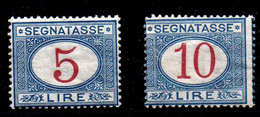 Italia (Tasas) Nº 17, 19.  Año 1870/1903 - Andere & Zonder Classificatie