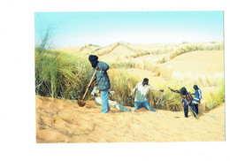 Cpm - Afrique Mauritanie - Sortie De NOUAKCHOTT Les Vents De Sable - Animation Homme Pelle - SOS SAHEL 92 Asnières - - Mauretanien