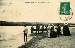 Champtoceaux * 1909 * Pêche à L'alose En Loire * Pêcheurs Filets - Champtoceaux