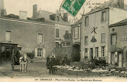 Chemillé * Le Marché Aux Moutons , Place Croix Boulay * Commerce Magasin GUAY * Café - Chemille