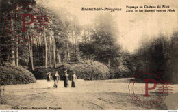 Brasschaat - Polygone  Paysage Au Château De - Zicht In Het Kasteel Van De Mic Brasschaat - Brasschaet  ANTWERPEN ANVERS - Brasschaat