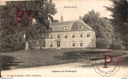 Château De Mishaegen   Brasschaat  Brasschaet   ANTWERPEN ANVERS - Brasschaat