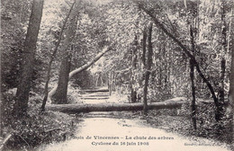 CPA - Cyclone Du 16 Juin 1908 - Bois De Vincennes - La Chute Des Arbres - Catástrofes