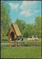 D-29664 Walsrode - Vogelpark - Ziergeflügelfarm - Flamingo - Walsrode
